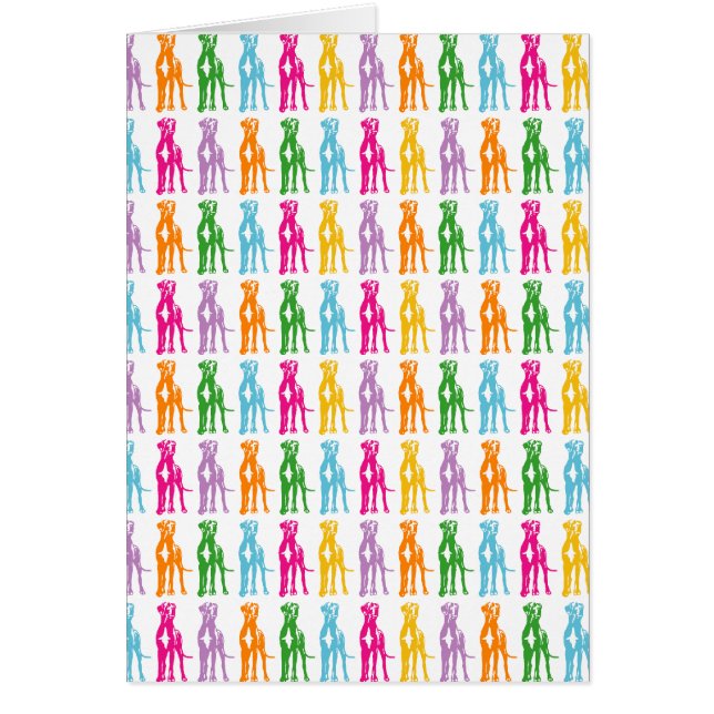 レインボーマスティフ模様 (正面)