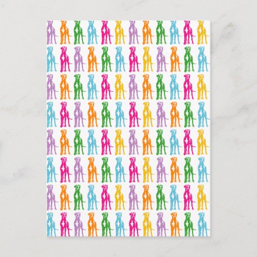 レインボーマスティフ模様 ポストカード (正面)