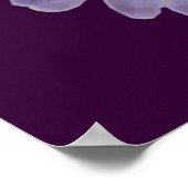 レインボーマリゴールドのポスター ポスター (角)