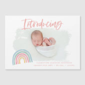 レインボーモダンピガーリーンク導入写真誕生 (正面)