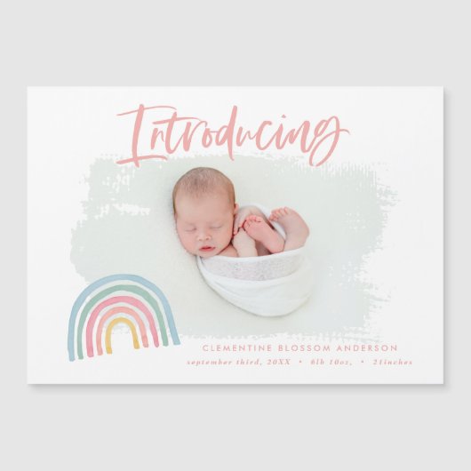 レインボーモダンピガーリーンク導入写真誕生 (正面)