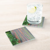 レインボーユーカリの木 ガラスコースター (アングル)