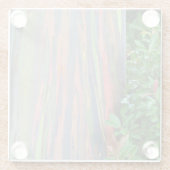 レインボーユーカリの木 ガラスコースター (裏面)