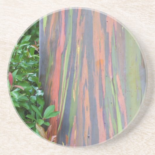 レインボーユーカリの木 コースター (正面)