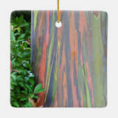レインボーユーカリの木 セラミックオーナメント (裏面)