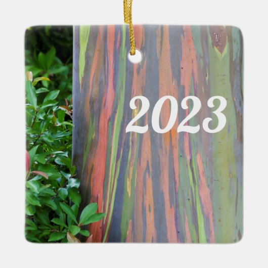 レインボーユーカリの木 セラミックオーナメント (正面)