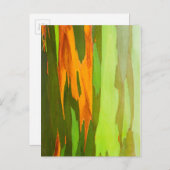 レインボーユーカリの樹皮,ハワイ ポストカード (正面/裏面)