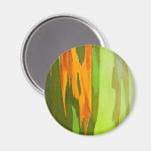 レインボーユーカリの樹皮，ハワイ マグネット (正面/裏面)