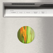 レインボーユーカリの樹皮，ハワイ マグネット (インサイチュ (食洗機))