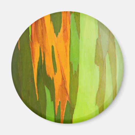 レインボーユーカリの樹皮，ハワイ マグネット (正面)