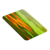 レインボーユーカリの樹皮，ハワイ マグネット (右側)