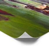 レインボーユーカリ1 ポスター (角)