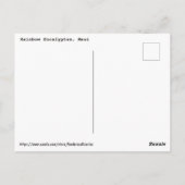 レインボーユーカリ ポストカード (裏面)