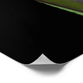 レインボーユーカリ–1 ポスター (角)