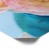 レインボーランキュラスの花 ポスター (角)