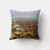 レインボーランノッチムーアポストポストフォトブロックC クッション (裏面)