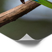 レインボーロリケッツ ポスター (角)