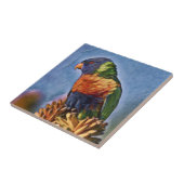 レインボーロリケートオウム タイル (側面)