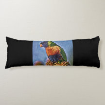 レインボーロリケートオウム