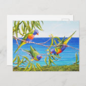 レインボーロリケートバードブルーオーストラリア絵を描ズ ポストカード (正面/裏面)