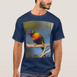 レインボーロリケート4 Tシャツ