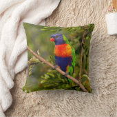 レインボーロリケート クッション (ブランケット)