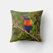 レインボーロリケート クッション (裏面)