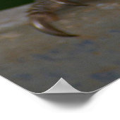 レインボーロリケート ポスター (角)