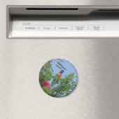 レインボーロリケート マグネット (インサイチュ (食洗機))