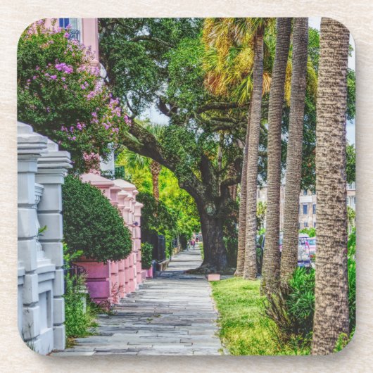 レインボーローに沿って歩く コースター (正面)