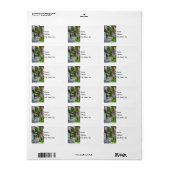 レインボー列に沿って歩く ラベル (フルシート)