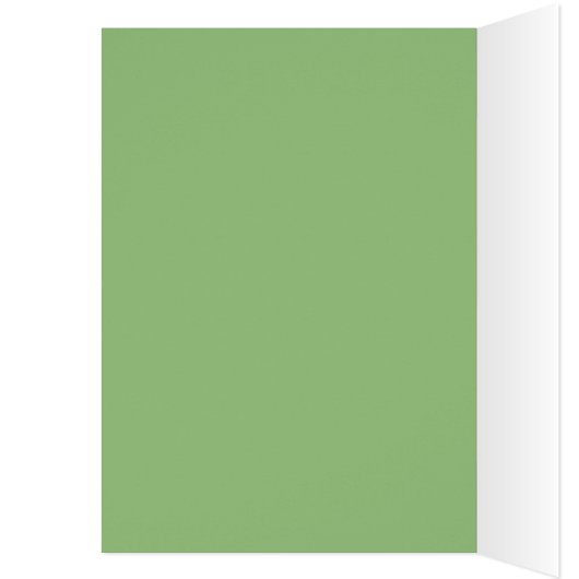 レインボー数々のシルク色の生地フォトカード (内側 (左))