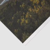 レインボー海20x30デコページ 薄葉紙 (詳細)