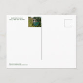 レインボー秋,ヒロ,ハワイ,ビッグアイランドのはがき ポストカード (裏面)