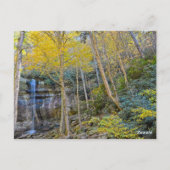 レインボー秋GSMTNP ポストカード (裏面)