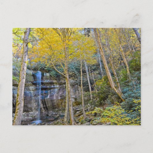 レインボー秋GSMTNP ポストカード (正面)