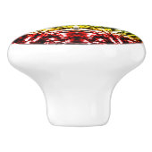 レインボー絞り染めマンダラスター セラミックノブ (側面)