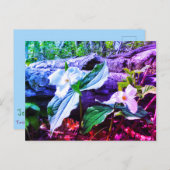 レインボー葉書 ポストカード (正面/裏面)