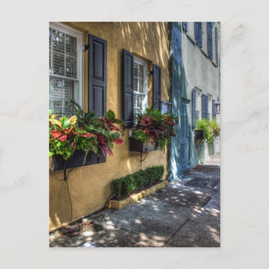 レインボー行.jpg ポストカード (正面)