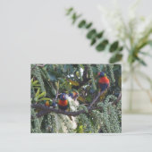 レインボー食べ物を与えリケート ポストカード (スタンド正面)