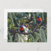 レインボー食べ物を与えリケート ポストカード (正面/裏面)