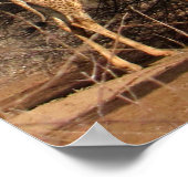 レインボー&キリンのポスター/プリント（最大35x52インチ） ポスター (角)