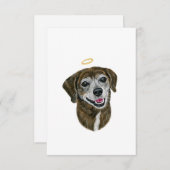 レインボー・ドッグ・シンパシー・カード サンキューカード (正面/裏面)