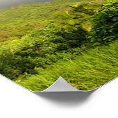 レインボー・ハキプー ポスター (角)