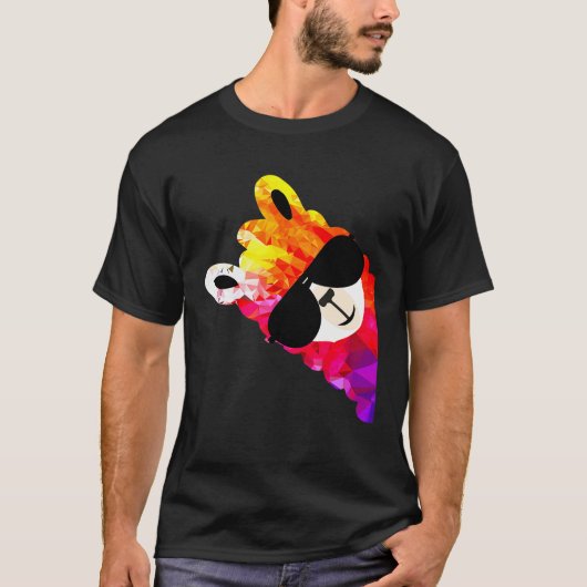 レインボー・ファン・ラマ・アルパカ Tシャツ (正面)