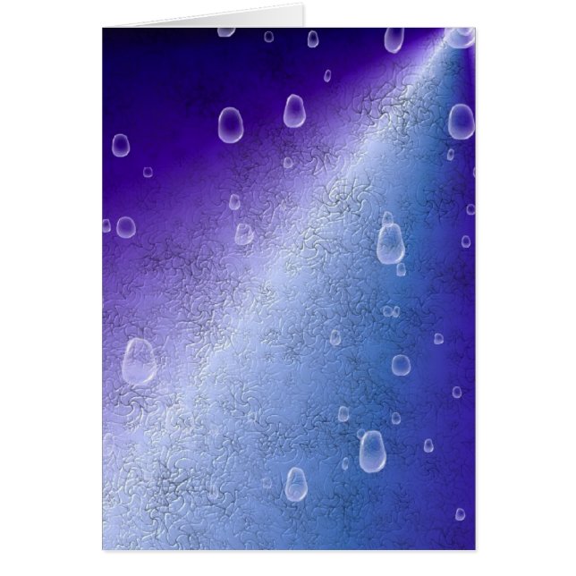 レインボーin象スキンレザーオプティカル (正面)