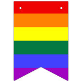 レインボーLGBTQIA+バンティングフラグ バンティングフラッグ (第2の旗)