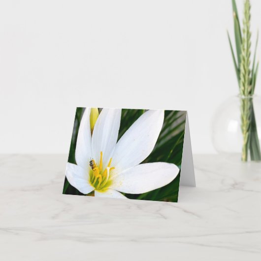 レインリリーバグドゥー サンキューカード (正面)