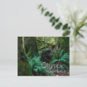 レイン フォレスト ツリー、シダ、オリンピック国立公園 ポストカード (スタンド正面)