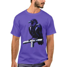 レイヴンのゴール：ボルチモアの最も激しい外観